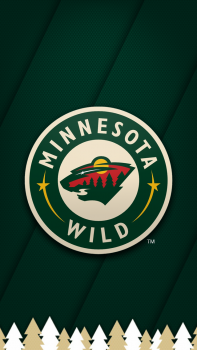 Minnesota Wild 02.png