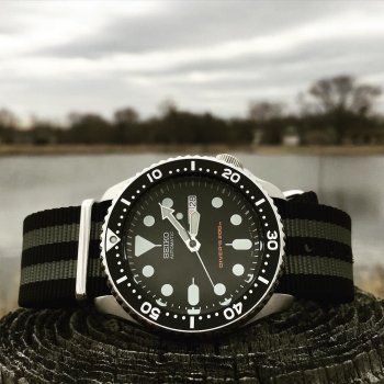 SKX007.jpg