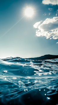 Swim 01.png