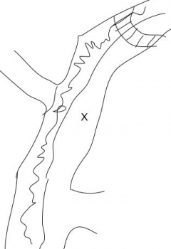 map.png