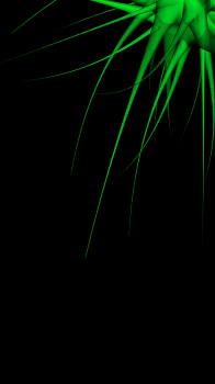 Green Black.png