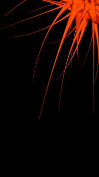 Orange Black.png
