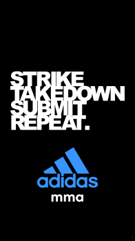STSR 01.png