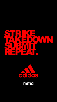 STSR 04.png