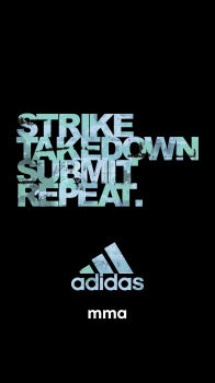 STSR 06.png