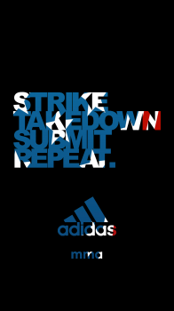 STSR 07.png