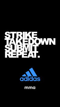 STSR 13.png