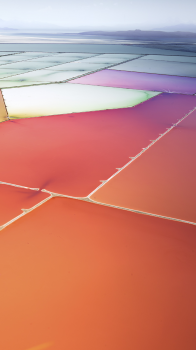 S3.png