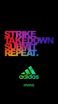 STSR 15.png