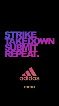 STSR 17.png