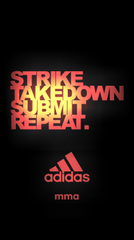 STSR 19.png