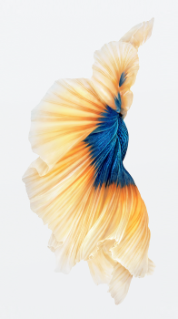 iOS Fish 01.png