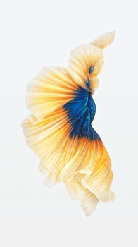 iOS Fish 02.png