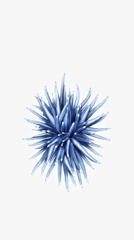 iP SE 1080 02.png
