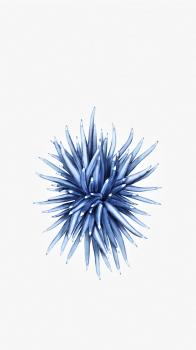 iP SE 750 02.png