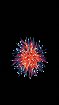 iP SE 750 04.png