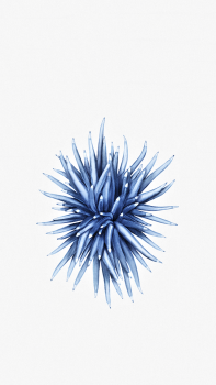 iP SE 640 02.png
