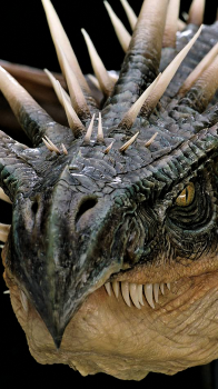 Reptile.png
