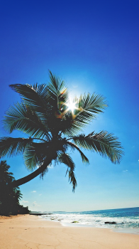 Tropical Beach.png