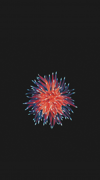 Flower.png