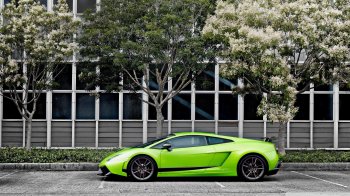 green_lamborghini_gallardo_superleggera-wallpaper-1920x1080.jpg