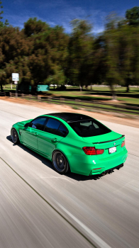 Car 31.png