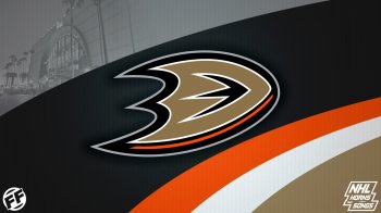 Anaheim Ducks 15.jpg