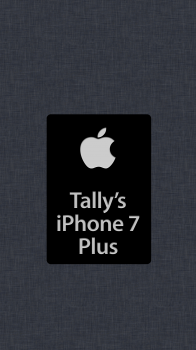 Tally iP7 Plus 02.png