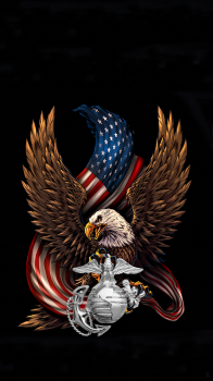 USMC Eagle silver.png