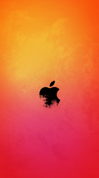IMG_1173.PNG