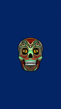 Chicago Blackhawks Skull 05.png