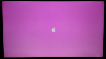 PINK_Screen.png