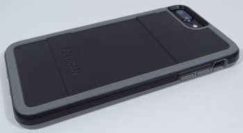pel06.jpg