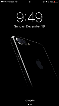 IMG_2741.PNG