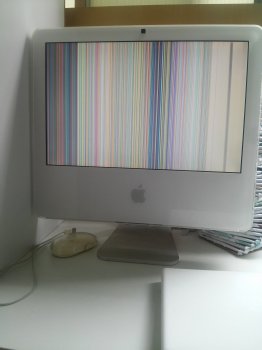 20170108_113603.jpg