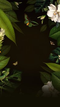 Flowers.jpg