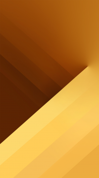IMG_0010.png