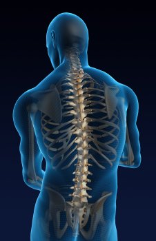 backpain.jpg