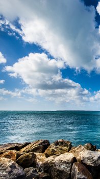 IMG_0220A.jpg