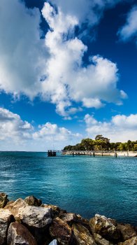 IMG_0220B.jpg