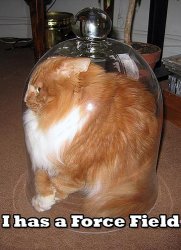 465785826_d15a4f4f4d.jpg