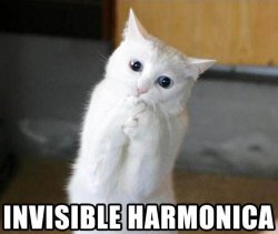 harmonica.jpg