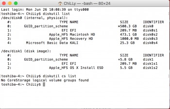 Diskutil list.png