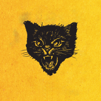 IMG_5324.png