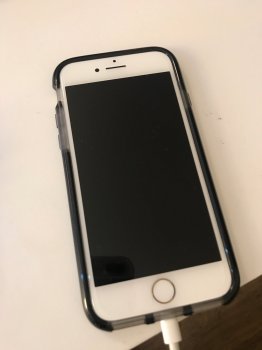 IMG_2952.JPG.jpeg