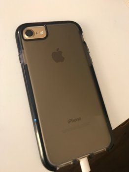 IMG_2953.JPG.jpeg