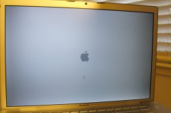 IMG_1387.jpg