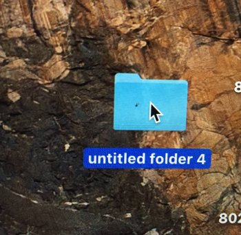 FullSizeRender.jpg.jpeg