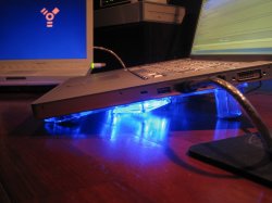 IMG_2997.jpg