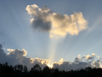 24714673-0D66-452F-9CF5-446C73AAB022.jpeg